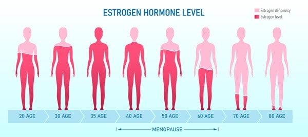 östrogen hos kvinnor